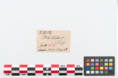 Etiketten zu Bronzemehrkopfnadel (NHMW-PRAE-025058)
